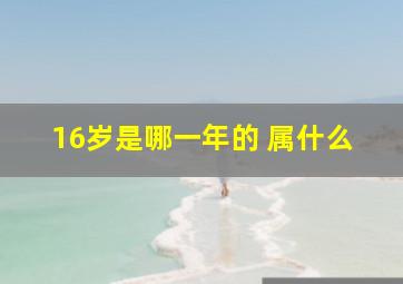 16岁是哪一年的 属什么